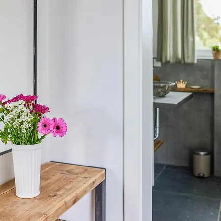 Pet Friendly In Apartmán