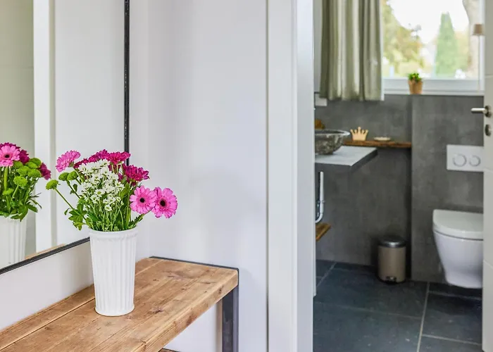 Pet Friendly In Appartement